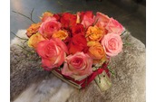 Hartje voor Valentijn